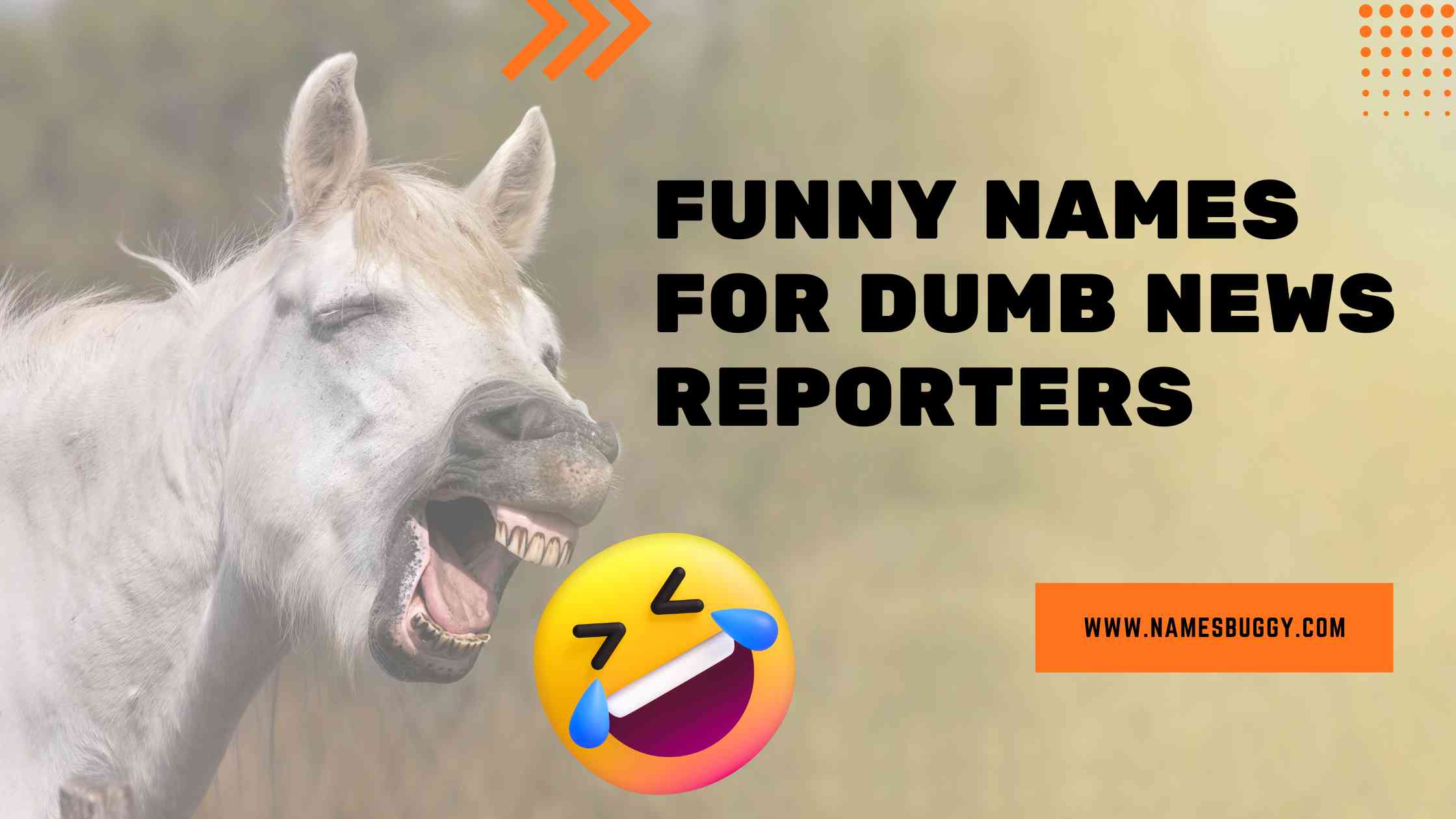 here-are-some-funny-names-for-dumb-news-reporters-namesbuggy-names