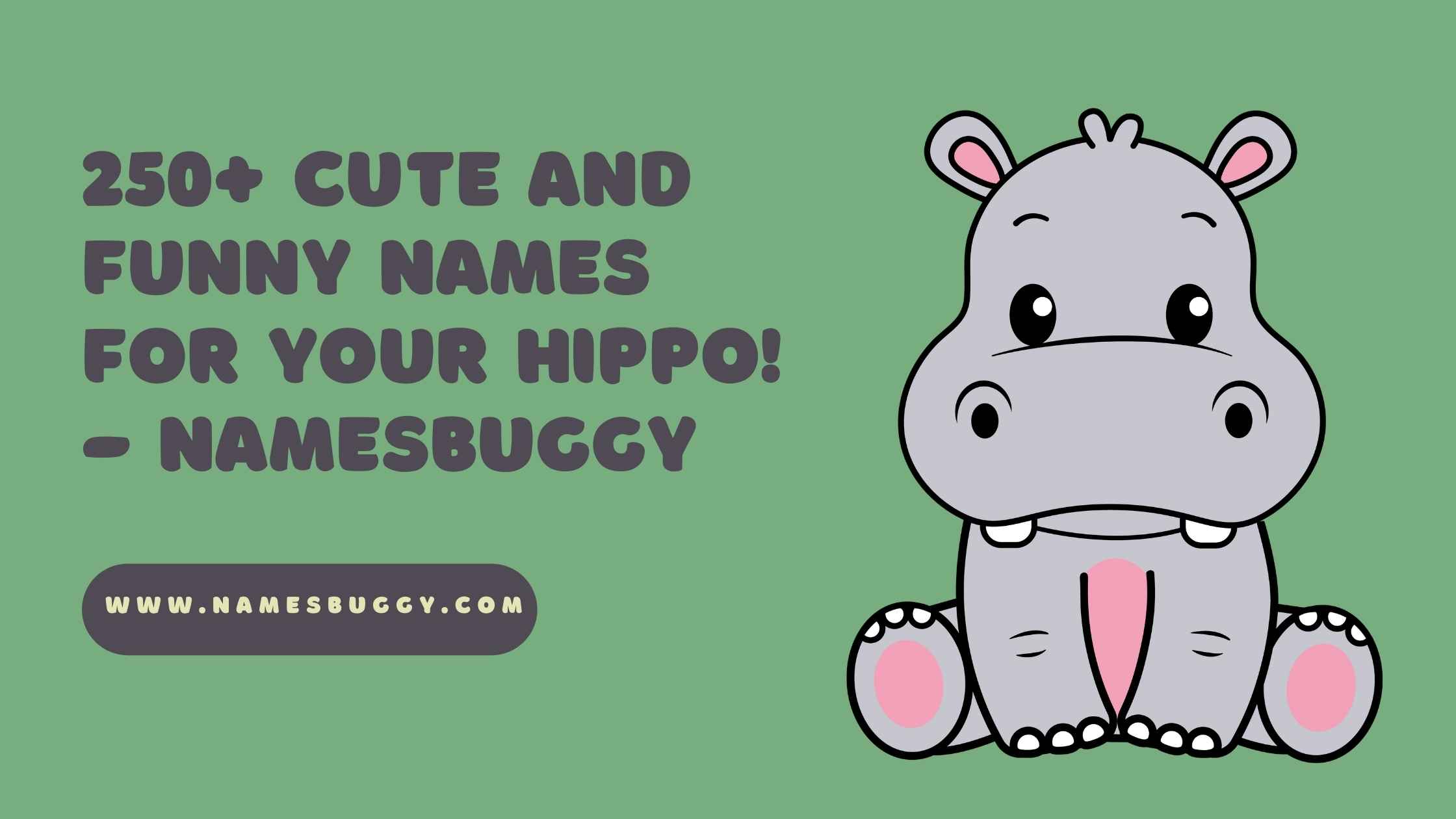 250+ Cute and Funny Names for your Hippo! - NamesBuggy